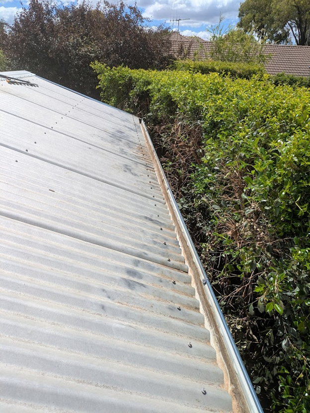 Clear gutters
